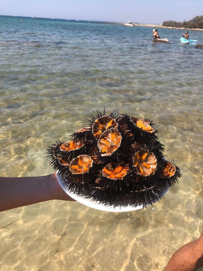 Salento Casa Vacanza Il Focolare Torchiarolo Luaran gambar